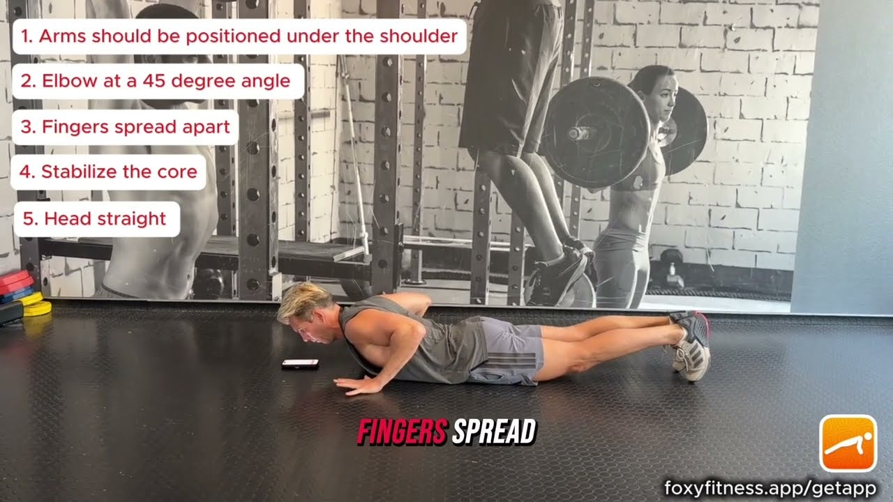 iOS App Store / Google Play