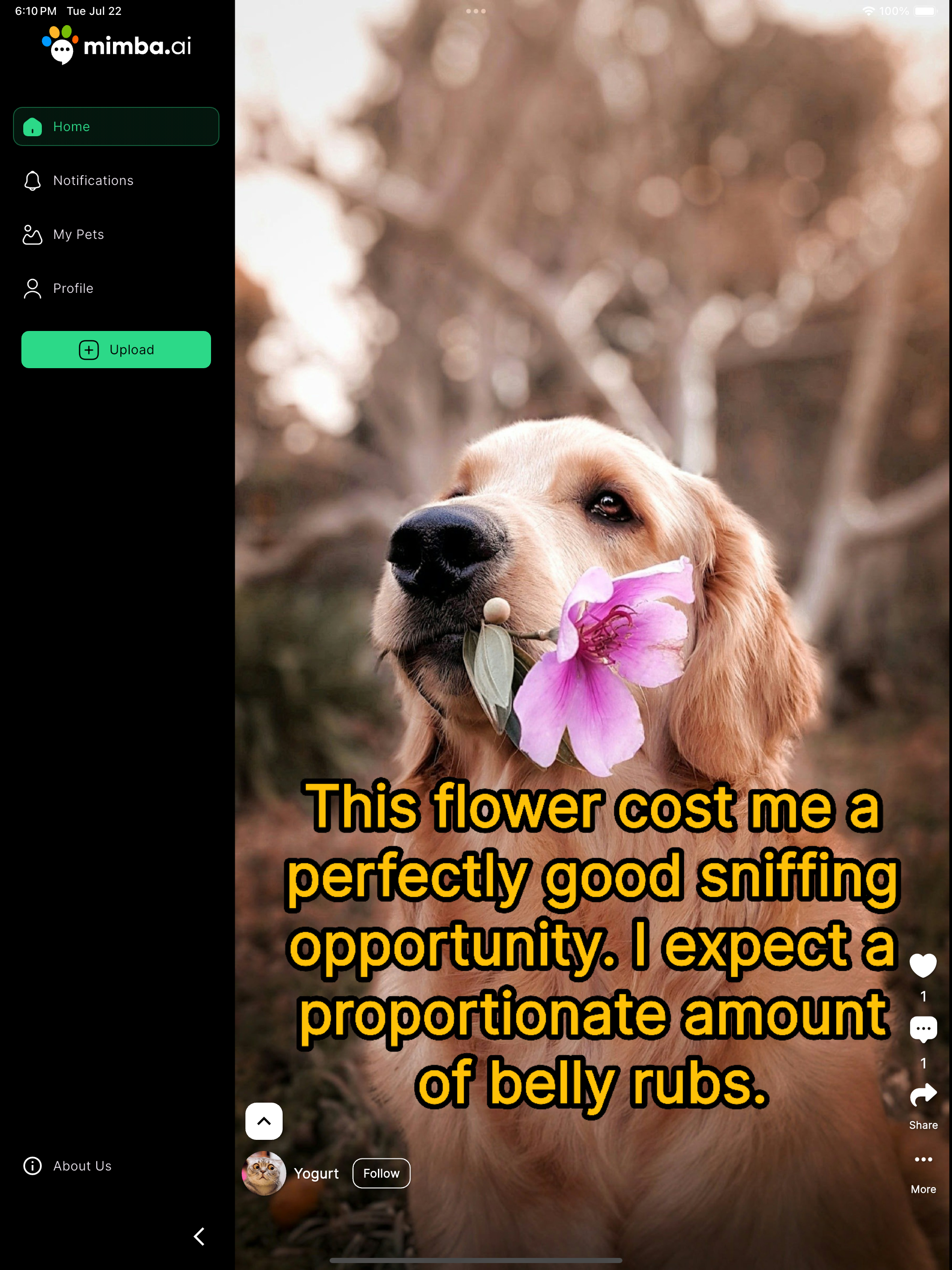Mimba AI