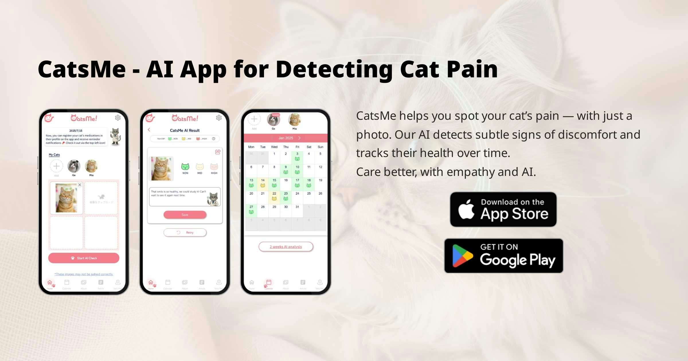 CatsMe – AI Pain Detector for Cats