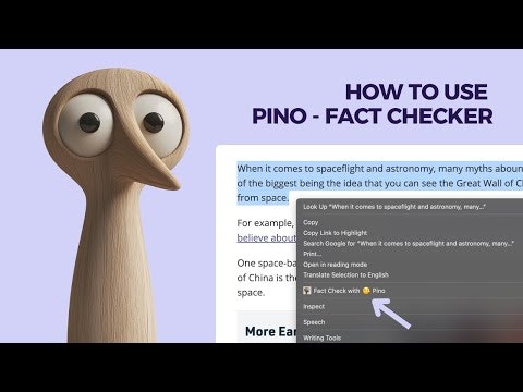 Pino - Fact Checker
